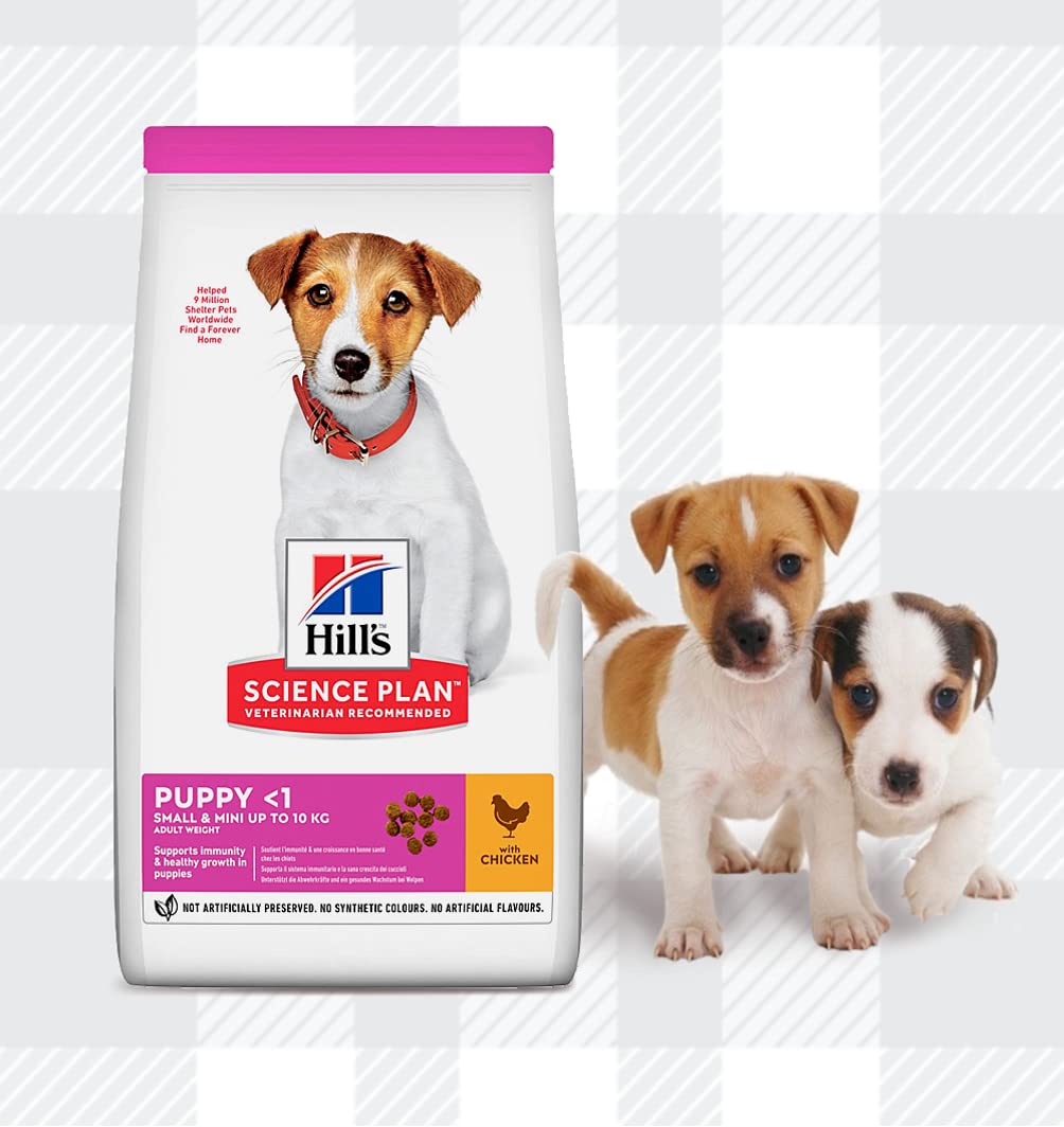 AETN Creations Small and Mini Puppy Dry Dog Food Bundle 2x1.5kg Dry Food Chicken Flavour Supports Immunity and Healthy Growth for Small Breed Dogs plus AETN Treat