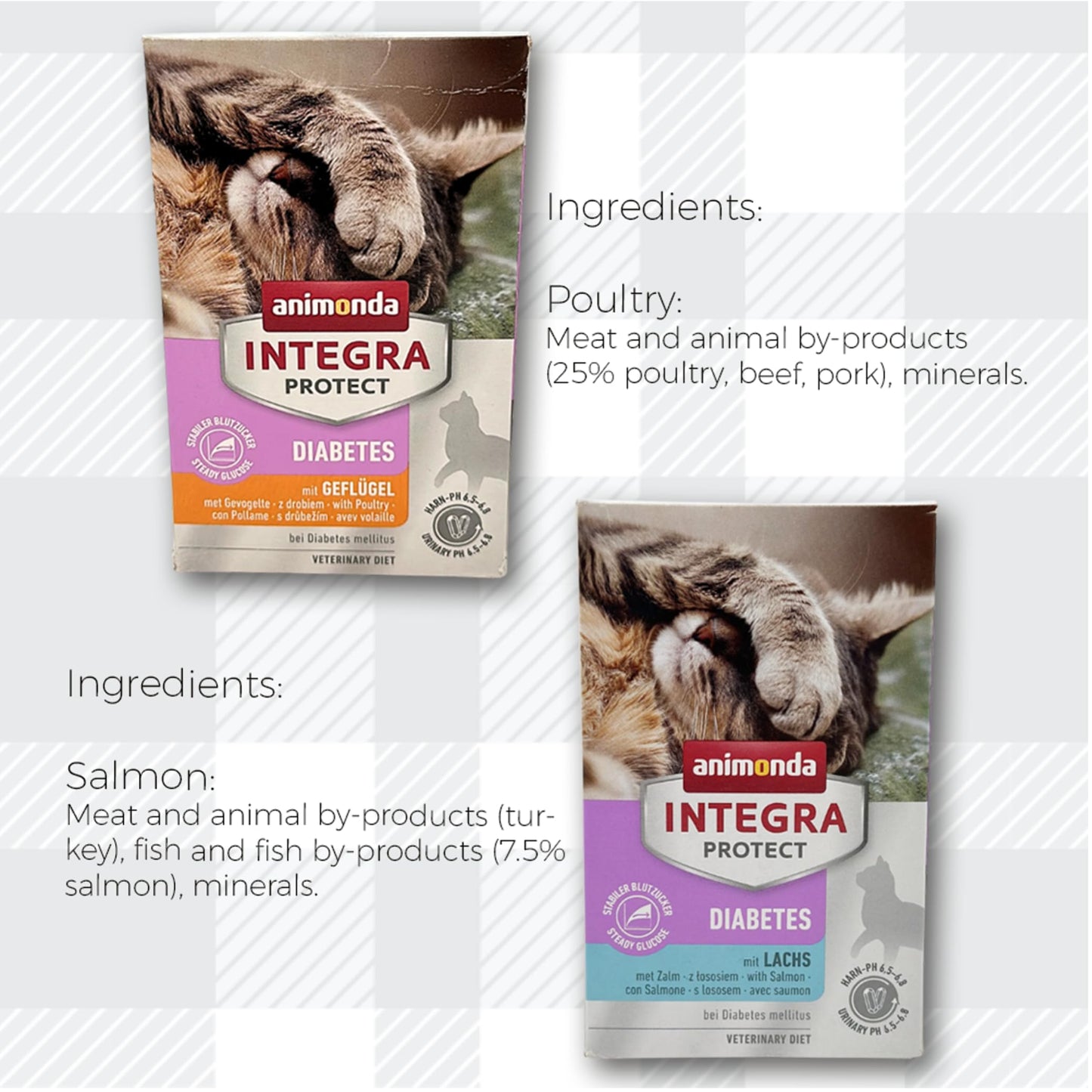 AETN Creations Animonda Integra Protect Diabetes for Cats 2 Pack 2x6x100g Poultry and Salmon plus AETN Cat Treat and Toy Tailored Diabetic Support for Cats
