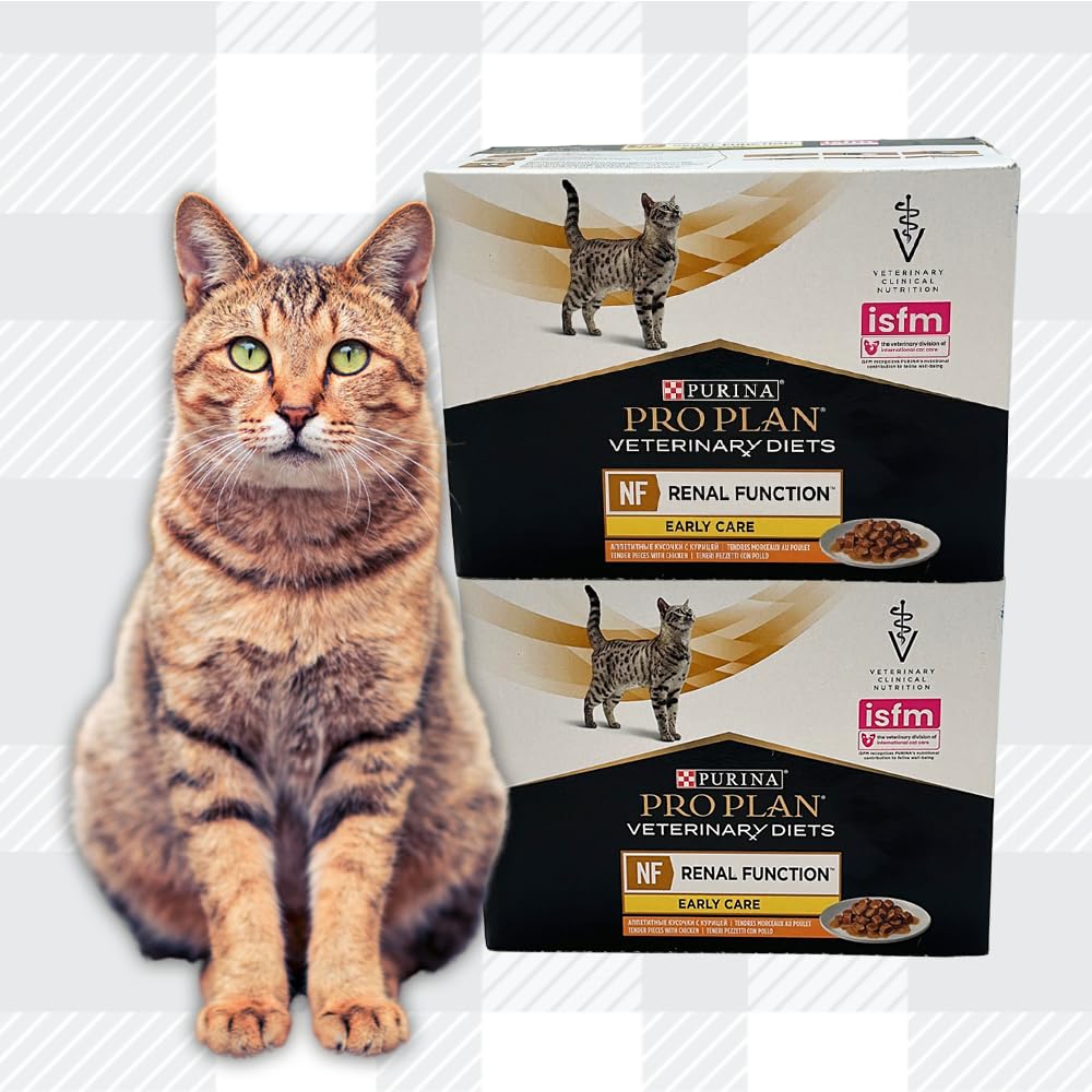 AETN Creations Pro Plan NF Renal Function Early Care Wet Cat Food 2x10x85g in Chicken plus AETN Cat Treat for Cats with Chronic Renal Insufficiency in the Early Stages
