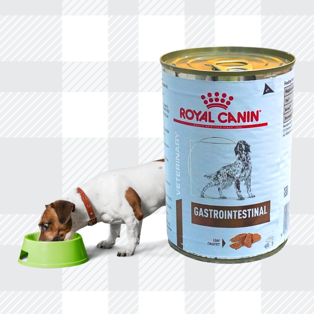 6x400g Wet Gastrointestinal in Loaf Veterinary Diet Dog Food for Adult Dogs with Digestive Sensitivities + Jerky Treat