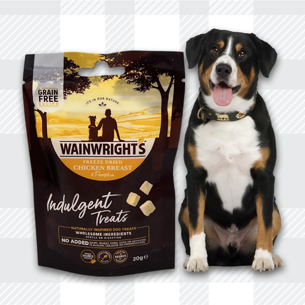 AETN Creations Dog Treat Bundle - Wainwright's Freeze Dried Chicken Breast & Pumpkin Adult 2x20g plus AETN Jerky Treat, Perfect Reward for Adult Dogs
