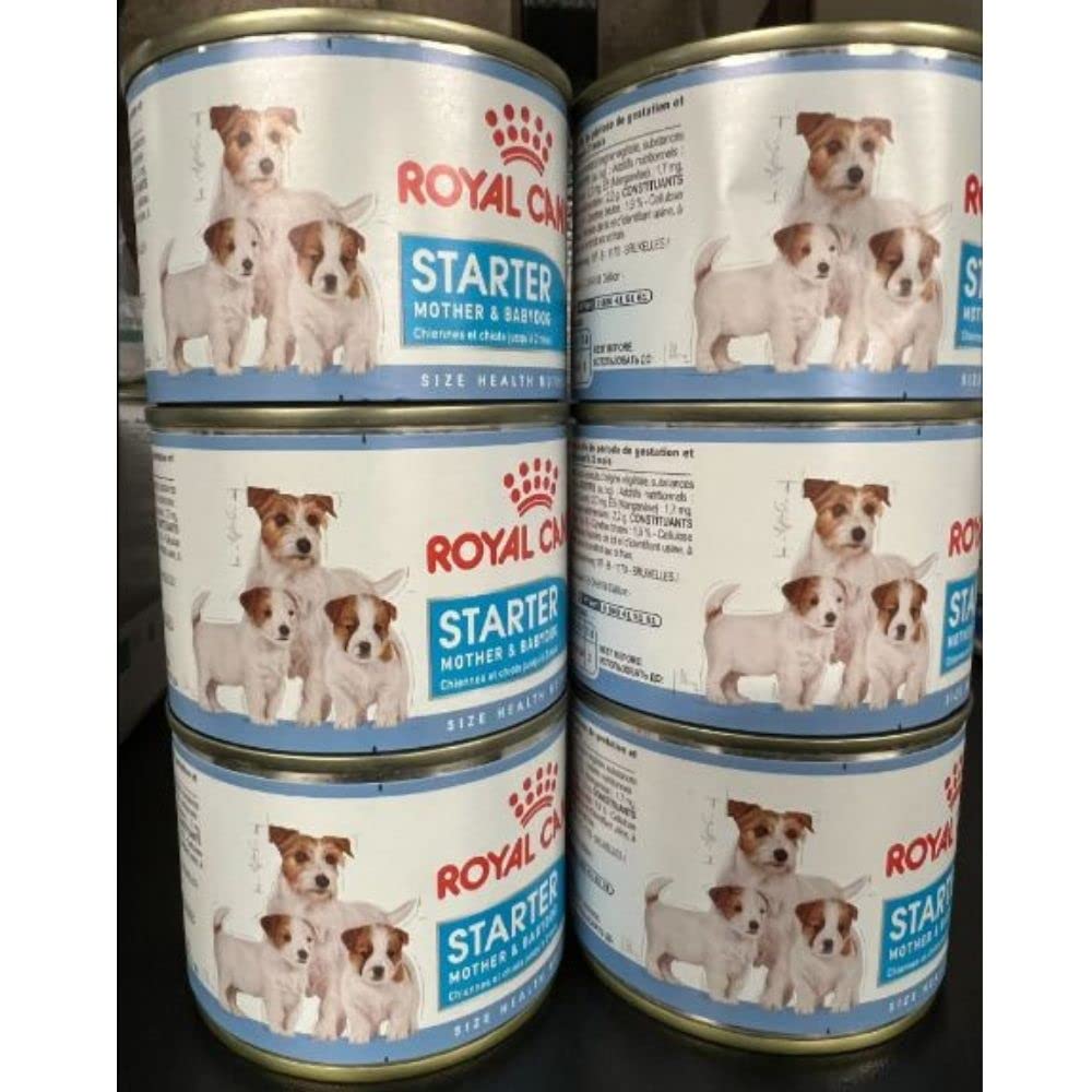 ROYAL CANIN Starter Mousse, Mother & Babydog Dog Food Cans 6 X 195g and Little Gift
