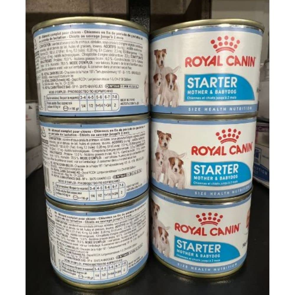 ROYAL CANIN Starter Mousse, Mother & Babydog Dog Food Cans 6 X 195g and Little Gift