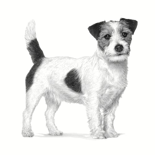ROYAL CANIN Pill Assist (small dog) 90g