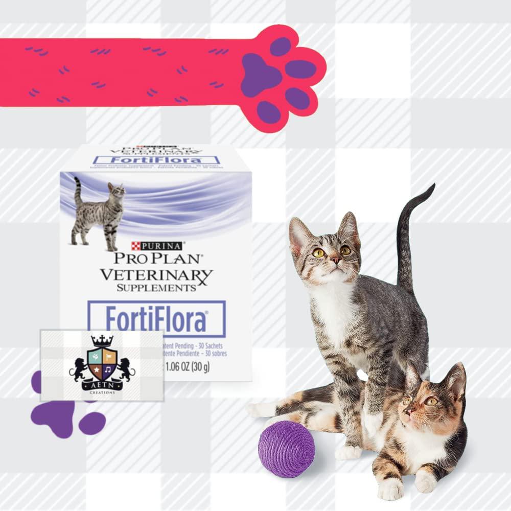 FortiFlora Powder Supplement Bundle Pack Consist Of Two Boxes In 30 Sachets Each Purina And AETN Creations Fridge Magnet Probiotic The Dietary Management Cat With Diarrhoea