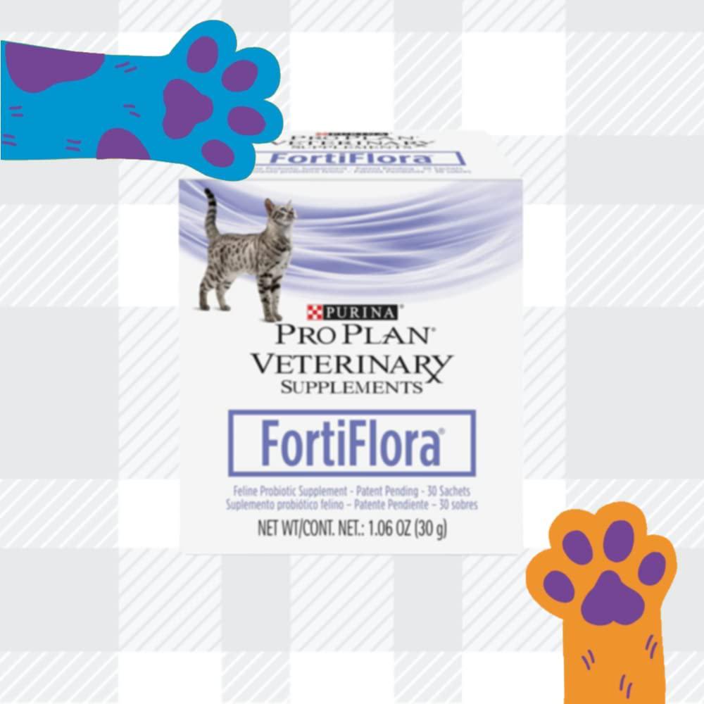 FortiFlora Powder Supplement Bundle Pack Consist Of Two Boxes In 30 Sachets Each Purina And AETN Creations Fridge Magnet Probiotic The Dietary Management Cat With Diarrhoea