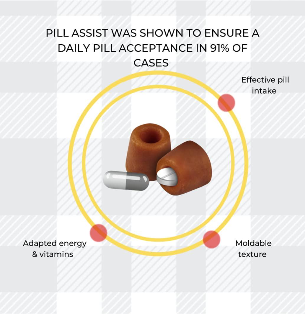 Pill Assist For Cats Bundle Pack Of 2x45g Per An Exclusive Treat Makes Giving Medicine To Easy With Moderate Calorie Content Plus AETN Creations Fridge Magnet