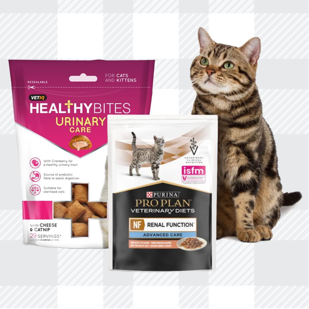 Pro Plan NF Renal Function Bundle Consist Of 10x85g Wet Cat Food Pouches Mixed Pack In Chicken And Salmon, Urinary Treats, Toy AETN Creations Fridge Magnet For Adult Cats With Illnesses