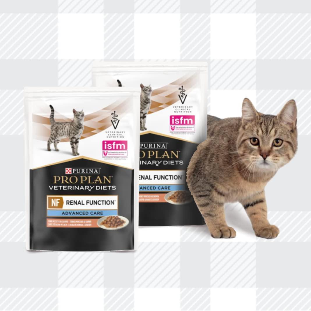Pro Plan NF Renal Function Bundle Consist Of 10x85g Wet Cat Food Pouches Mixed Pack In Chicken And Salmon, Urinary Treats, Toy AETN Creations Fridge Magnet For Adult Cats With Illnesses