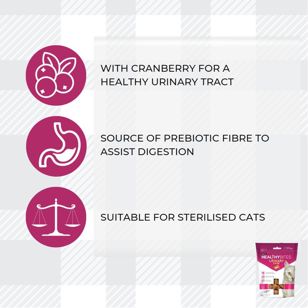 Pro Plan NF Renal Function Bundle Consist Of 10x85g Wet Cat Food Pouches Mixed Pack In Chicken And Salmon, Urinary Treats, Toy AETN Creations Fridge Magnet For Adult Cats With Illnesses