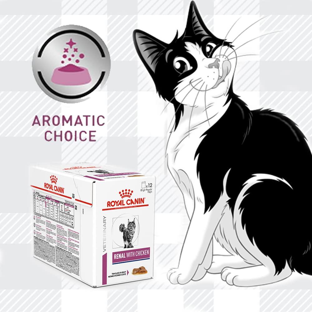 Renal Cat Food Bundle Of 400g Dry Biscuits With Wet Pouches In Beef, Salmon, Chicken Flavour Combined Felix Treat And Toy Plus AETN Creations Fridge Magnet Mixed Pack Support Urinary Health