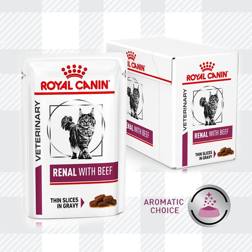 Renal Cat Food Bundle Of 400g Dry Biscuits With Wet Pouches In Beef, Salmon, Chicken Flavour Combined Felix Treat And Toy Plus AETN Creations Fridge Magnet Mixed Pack Support Urinary Health