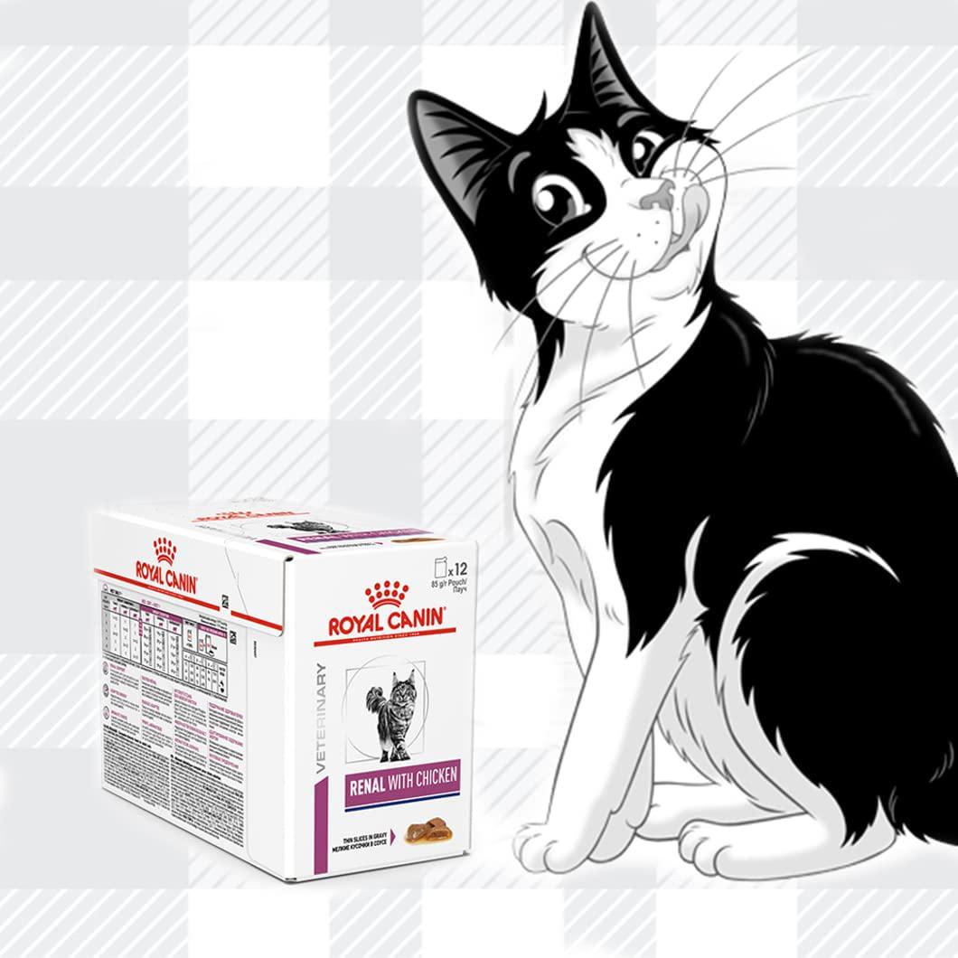 Renal Cat Mix Wet Food Bundle Pack 6x85g Pouches In Beef, Salmon, Chicken Flavour Gravy And AETN Creations Fridge Magnet Mixed Feed For Felines With Chronic Kidney Disease