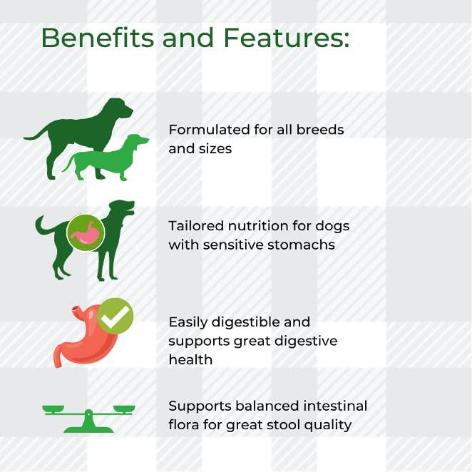 AETN Creations Digestive Care Wet Dog Food Pack 2x12x85g Plus Jerky Treat, Formulated To Support Optimal Health In Adult Dogs
