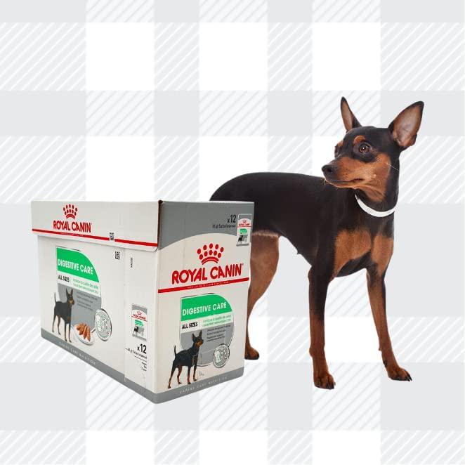 AETN Creations Digestive Care Wet Dog Food Pack 2x12x85g Plus Jerky Treat, Formulated To Support Optimal Health In Adult Dogs