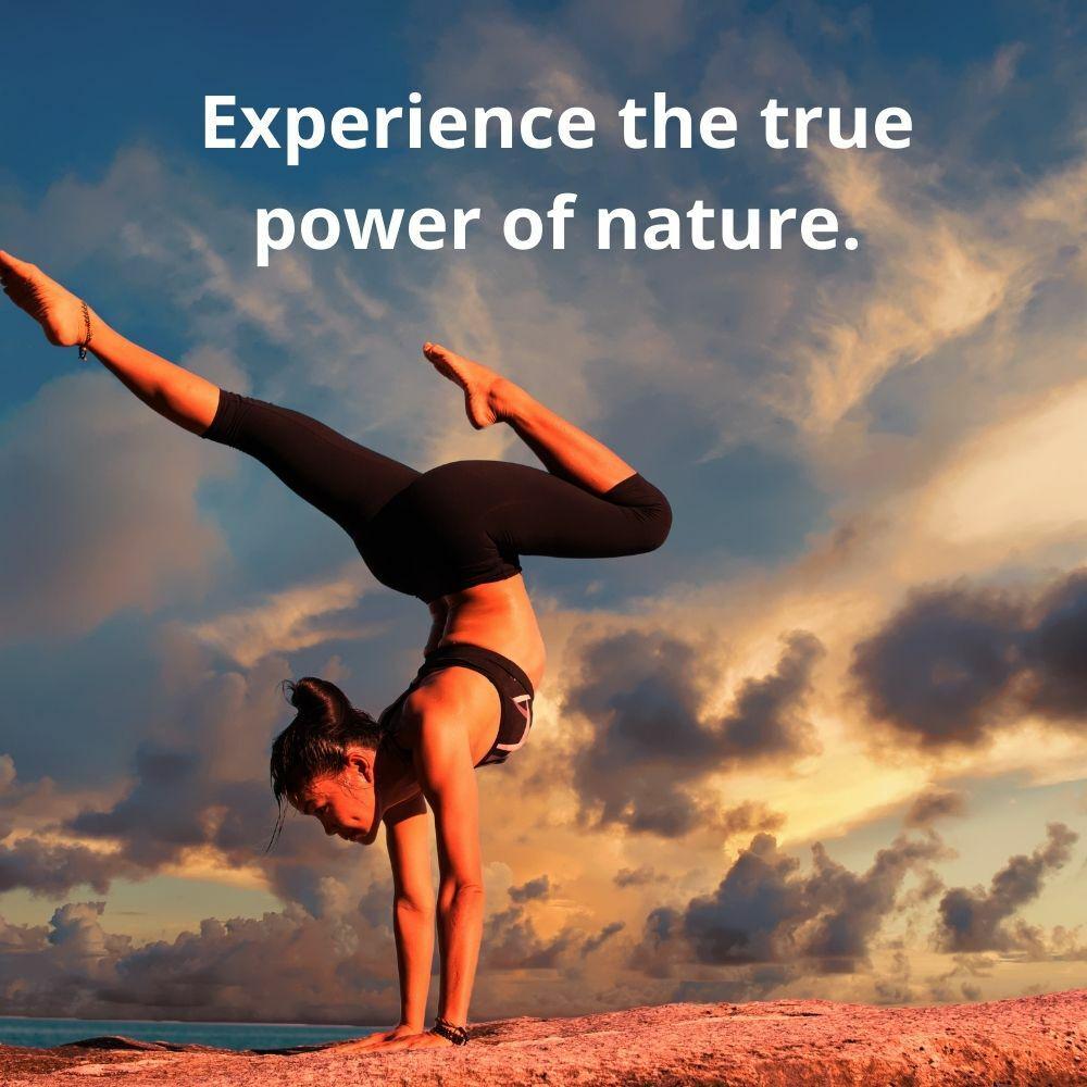 Forever Freedom Orange Flavoured Aloe Vera Juice Gel Drink 1 Litre