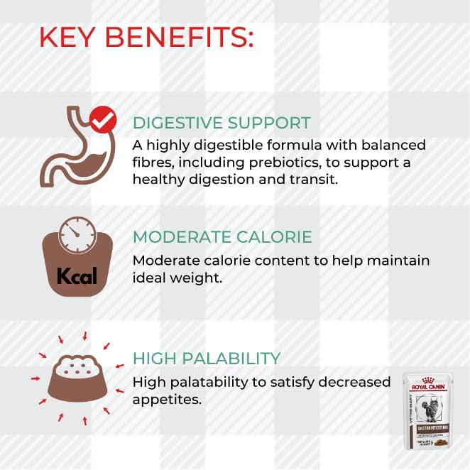 Gastrointestinal Moderate Calorie Wet Cat Food Pack Of 2 12x85g Pouches Plus AETN Creations Chicken Treat, Optimal Digestive Health For Healthy And Happy Cats