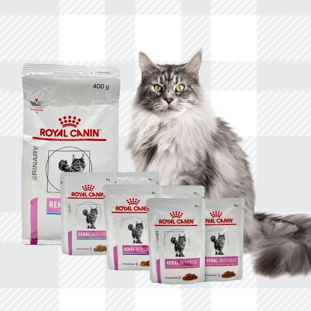 AETN Creations Royal Canin Renal Cat Food Bundle 400g + 6x85g Wet Pouches in Beef, Salmon, Chicken with AETN Cat Treat