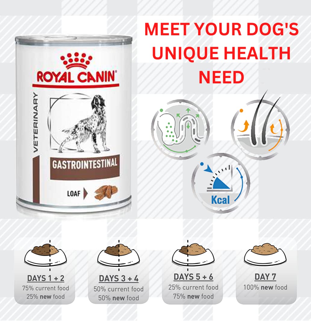 Pack of 2x400g Wet Gastrointestinal Veterinary Diet Dog Food for Adult Dogs + Jerky