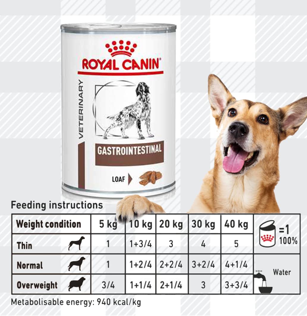 Pack of 2x400g Wet Gastrointestinal Veterinary Diet Dog Food for Adult Dogs + Jerky