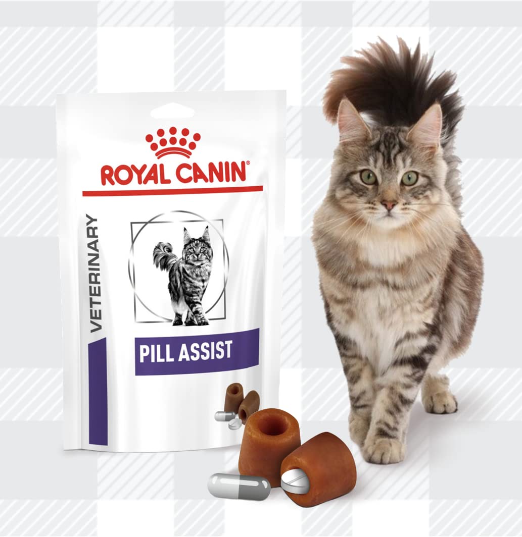 Cat Pill Assist Bundle 2x45g Plus AETN Chicken Cat Treat, Stress-Free Cat Medicating