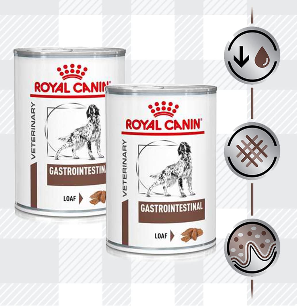 Pack of 2x400g Wet Gastrointestinal Veterinary Diet Dog Food for Adult Dogs + Jerky