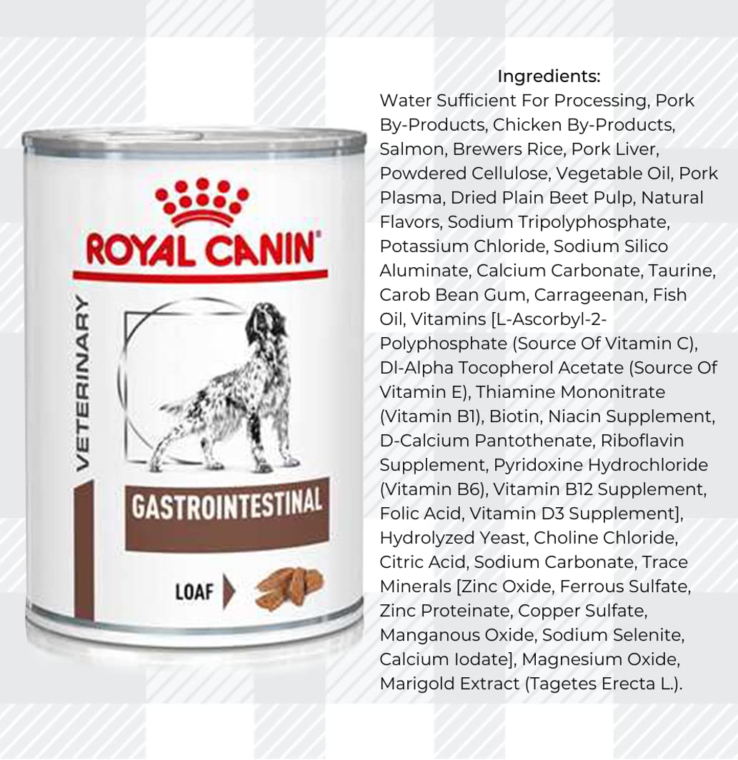 Pack of 2x400g Wet Gastrointestinal Veterinary Diet Dog Food for Adult Dogs + Jerky