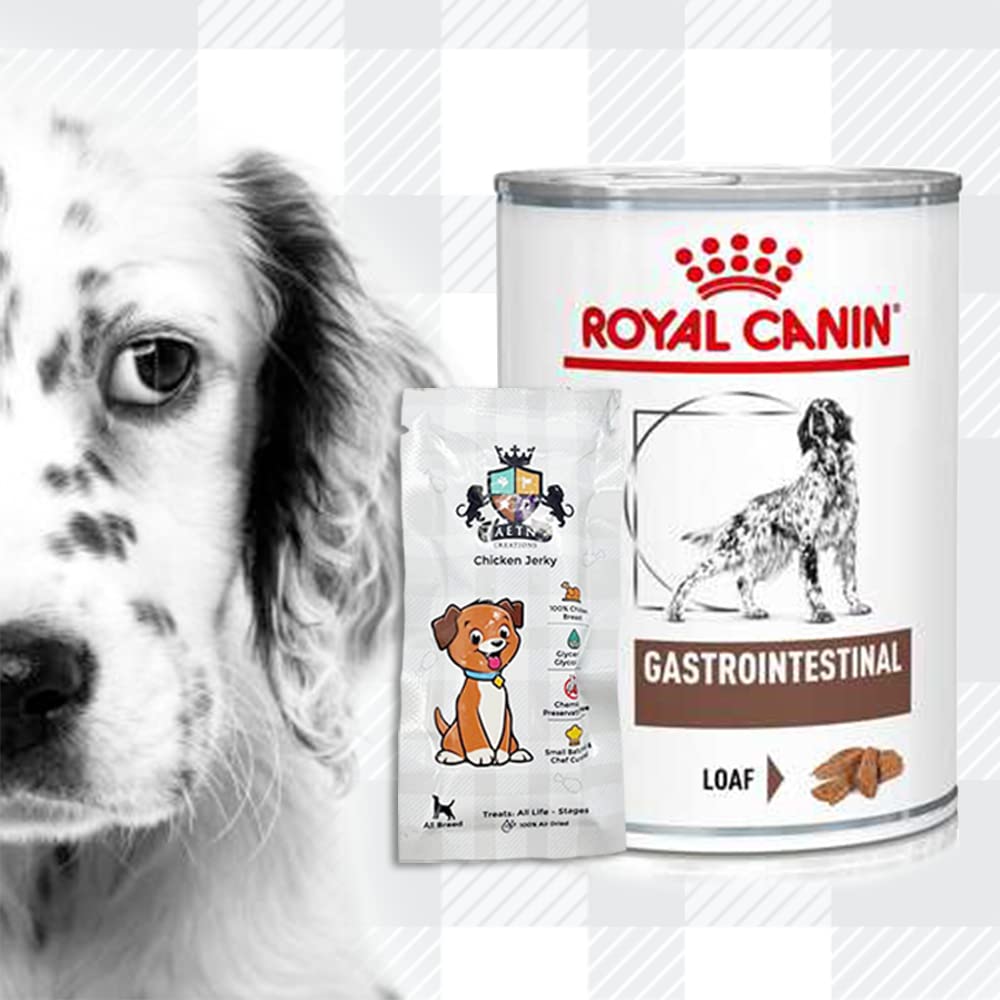 Pack of 2x400g Wet Gastrointestinal Veterinary Diet Dog Food for Adult Dogs + Jerky