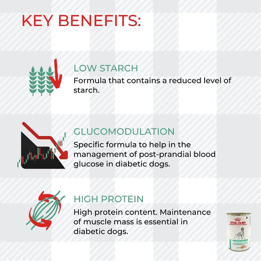 AETN Creations Diabetic Special Dog Food Bundle Pack 2x410g Tins of Diabetic Wet Food plus AETN Creations Jerky Dog Treat Specially Formulated to Support Diabetic Dog's