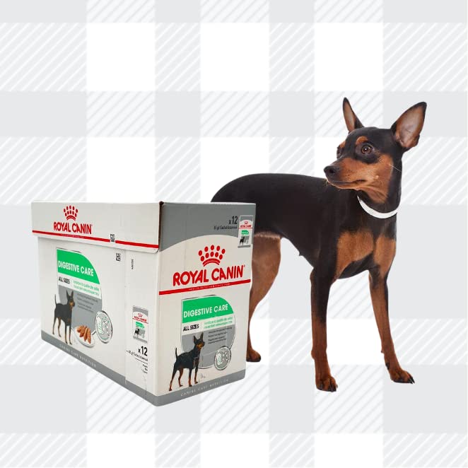 AETN Creations Digestive Care Wet Dog Food Pack 2x12x85g plus AETN Jerky Treat, Formulated to Support Optimal Digestive Health in Adult Dogs