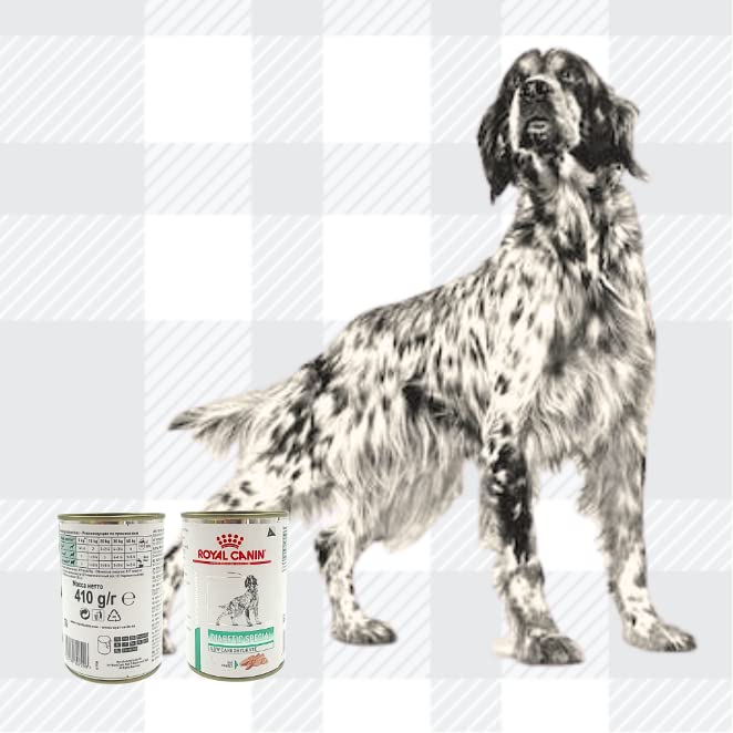 AETN Creations Diabetic Special Dog Food Bundle Pack 2x410g Tins of Diabetic Wet Food plus AETN Creations Jerky Dog Treat Specially Formulated to Support Diabetic Dog's