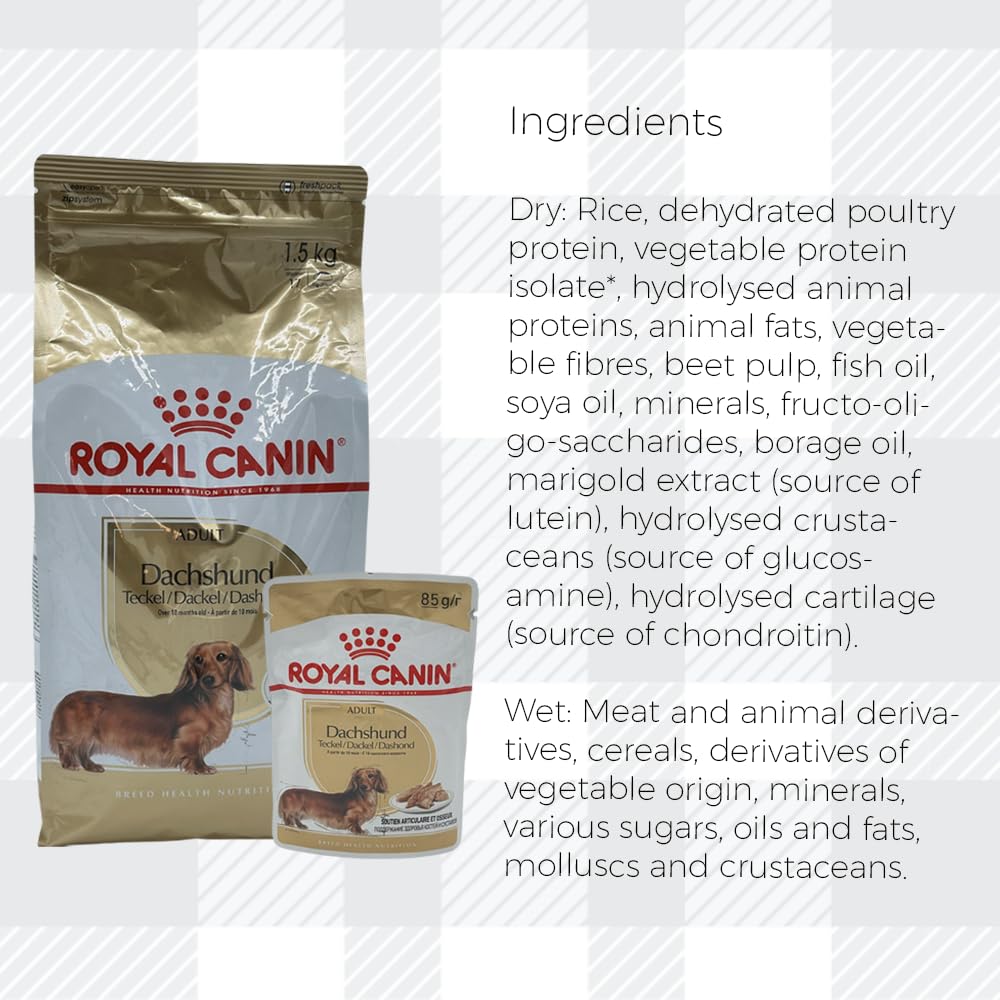 AETN Creations Complete Dachshund Care Bundle 1.5kg Dry Dog Food + 2x85g Wet Pouches with AETN Jerky Dog Treat