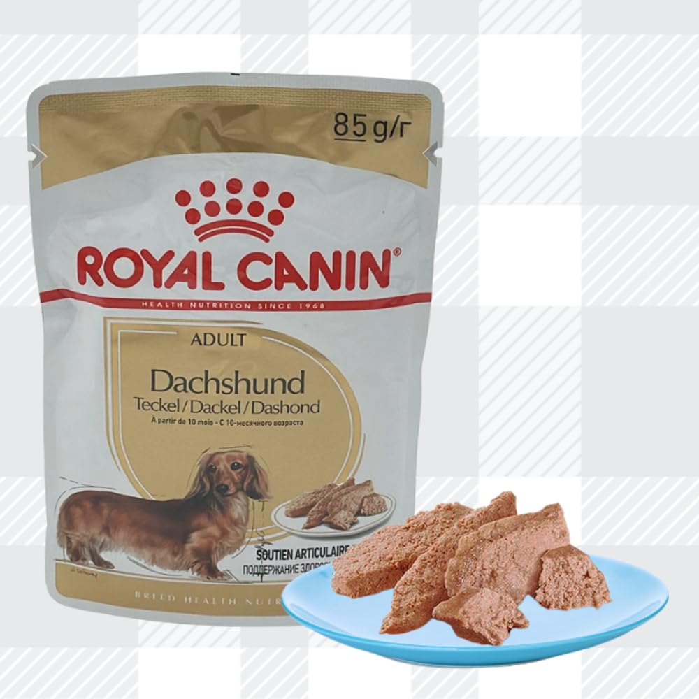 AETN Creations Complete Dachshund Care Bundle 1.5kg Dry Dog Food + 2x85g Wet Pouches with AETN Jerky Dog Treat