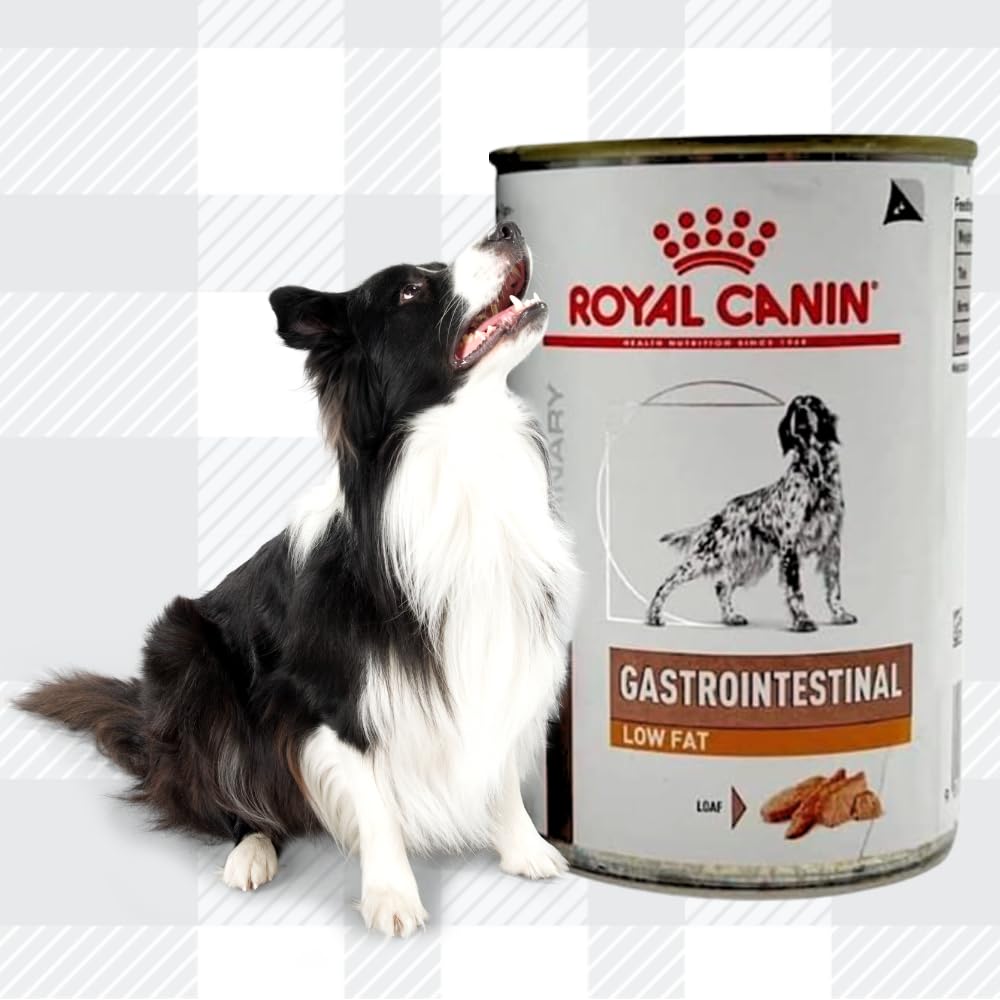 AETN Creations Gastrointestinal Low Fat Pack 6x410g Wet Dog Food in Loaf to Support Canine Gastro Health with AETN Jerky Treat