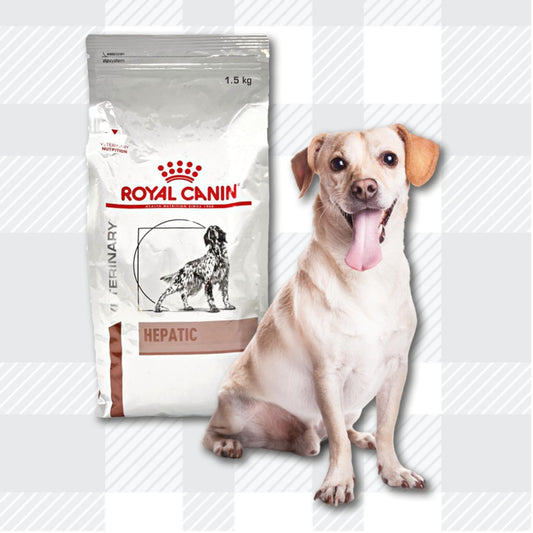 AETN Creations Hepatic Adult Dog Mixed Pack 1.5kg Dry and 1x420g Wet in Loaf plus AETN treat Support your Canine Companion's Liver Health
