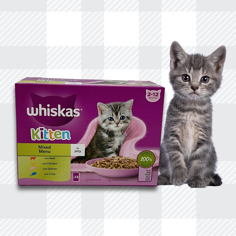 Two Packs Whiskas 2-12 Months Kitten Food Pouches Mixed Selection Jelly - 24x85g Pouches