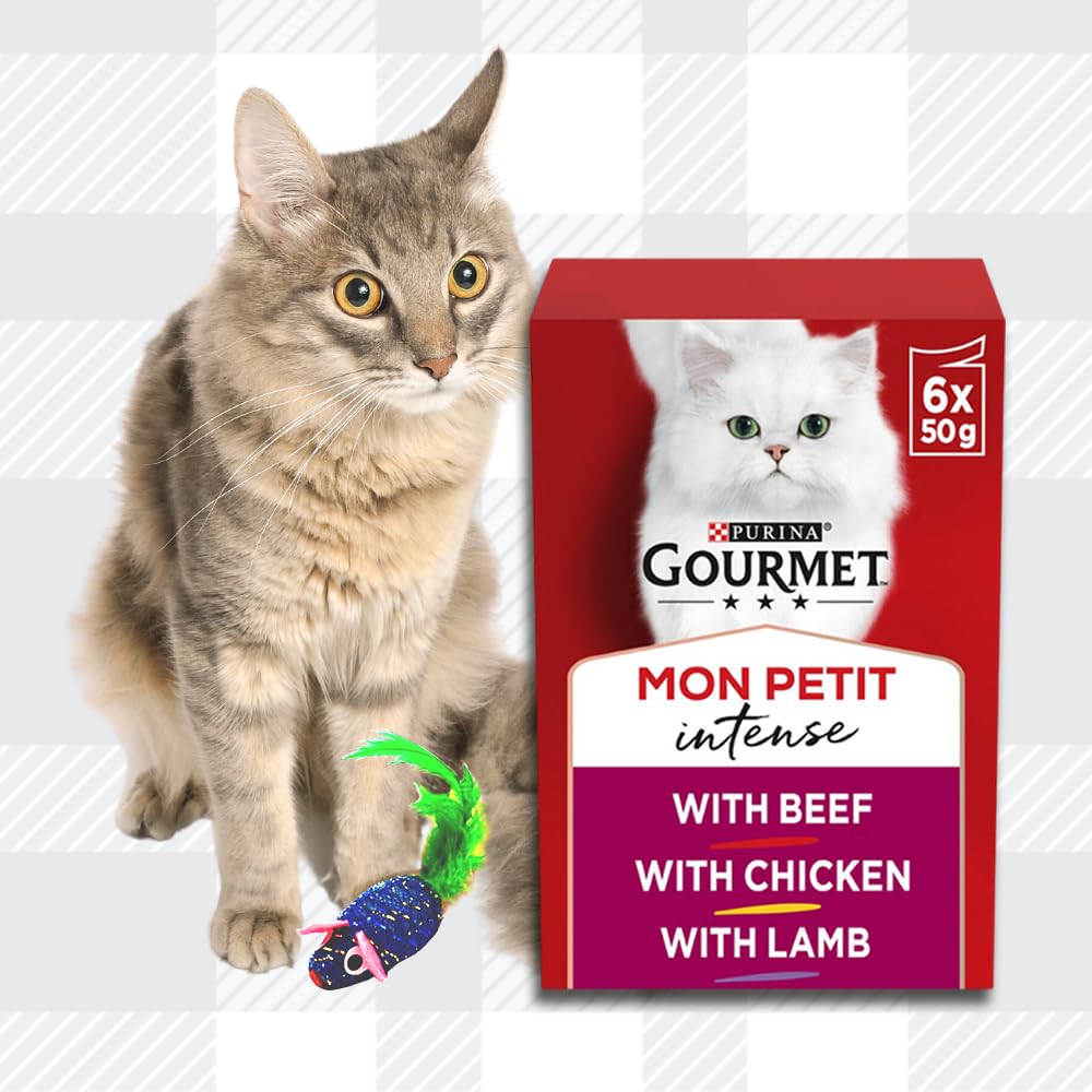 AETN Creations Gourmet Mon Petit Wet Cat Food Bundle 2x6x50g Meat with Beef, Chicken, Lamb plus AETN Cat Treat and Toy, Delicious Meal for Adult Cats