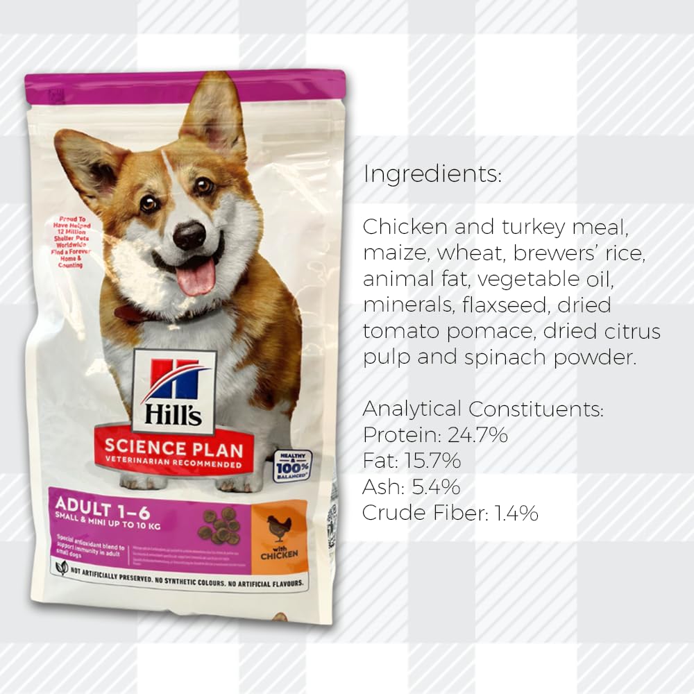 AETN Creations Hills Small Mini Adult Dog Food Bundle 1.5kg + 2x80g Wet Pouches plus AETN Jerky Treat