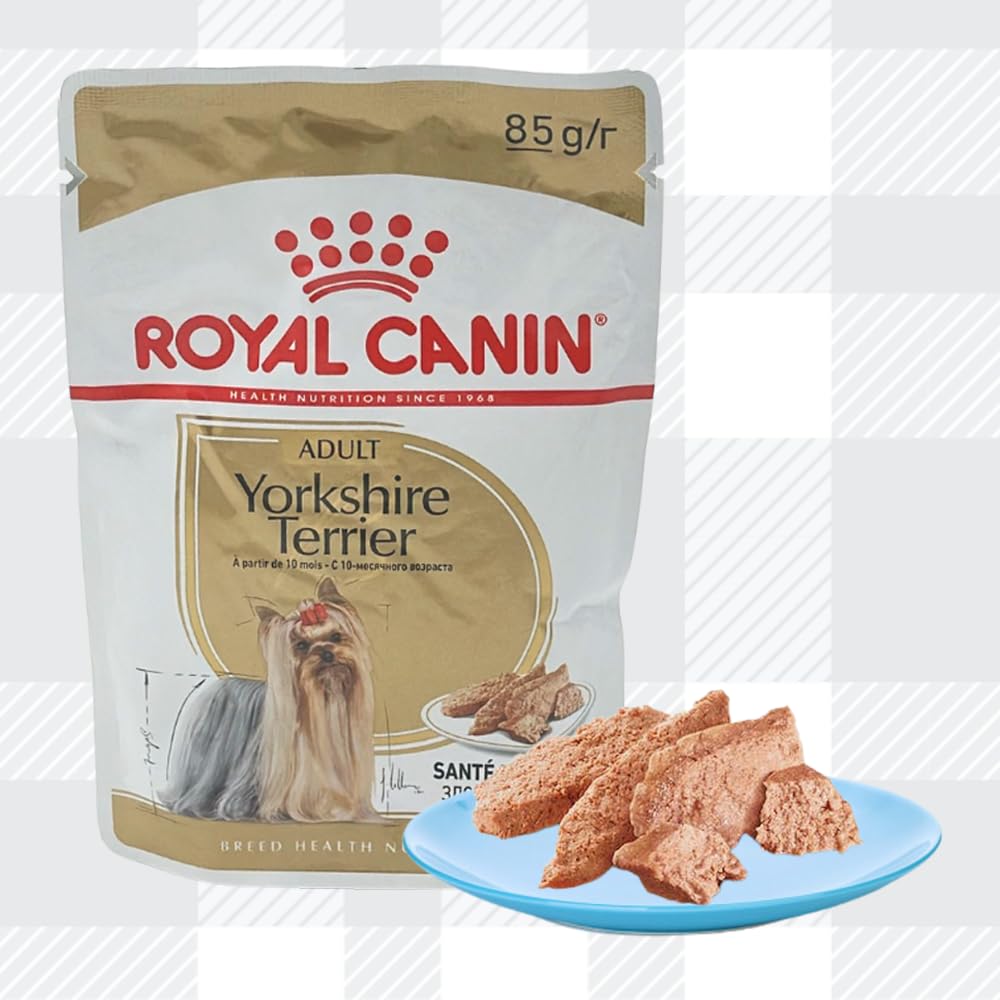 AETN Creations Complete Yorkshire Terrier Care Bundle 1.5kg Dry Dog Food + 2x85g Wet Pouches with AETN Jerky Dog Treat