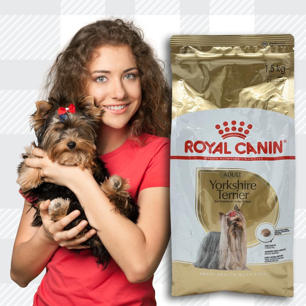 AETN Creations Complete Yorkshire Terrier Care Bundle 1.5kg Dry Dog Food + 2x85g Wet Pouches with AETN Jerky Dog Treat
