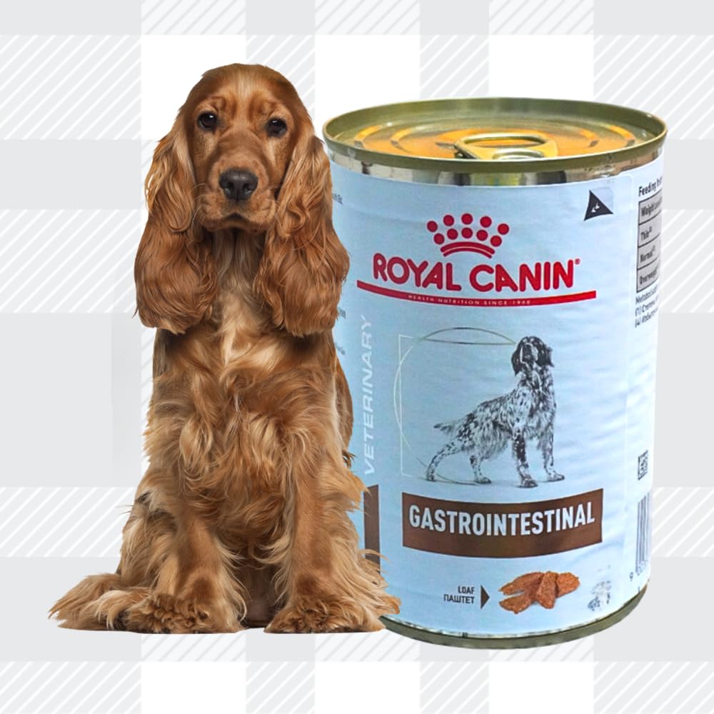 6x400g Wet Gastrointestinal in Loaf Veterinary Diet Dog Food for Adult Dogs with Digestive Sensitivities + Jerky Treat