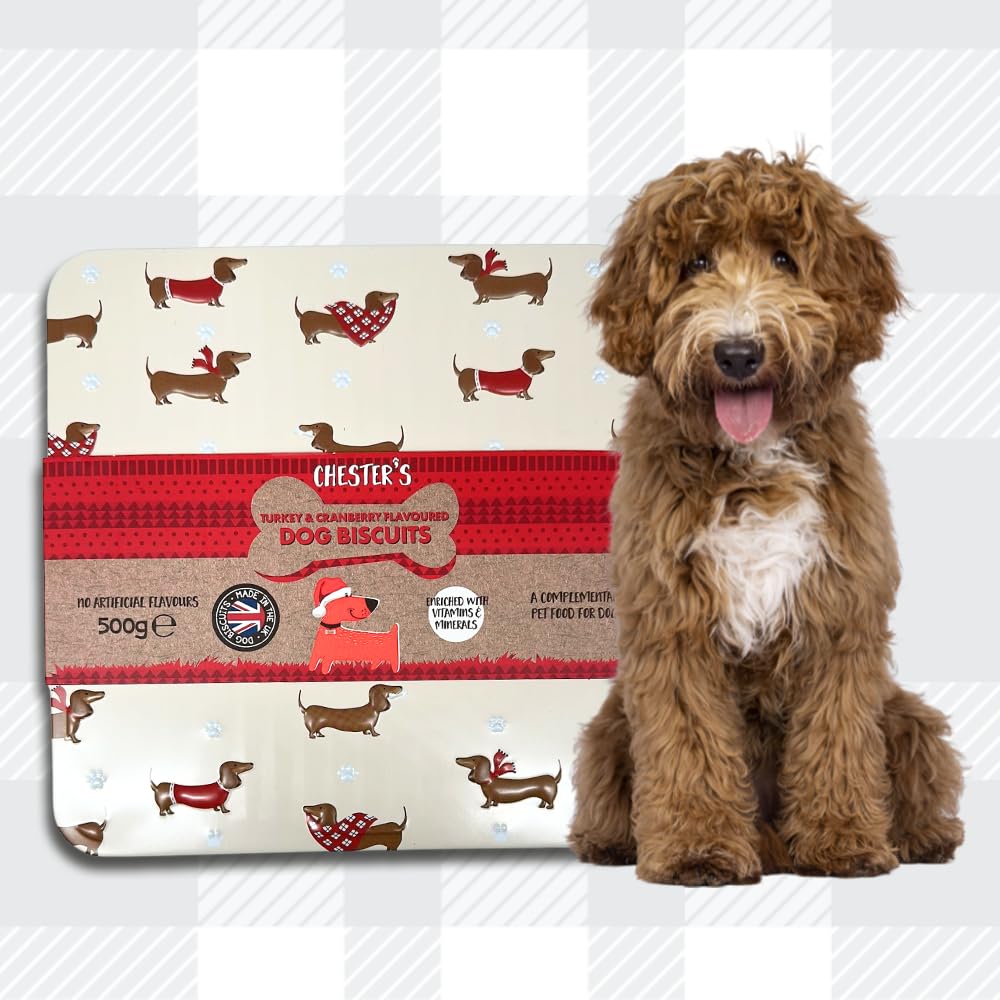 AETN Creations Delectable and Nutritious Chester's Dog Biscuits Treat Pack 500g in Irresistible Turkey & Cranberry Flavour with AETN Chicken Jerky Treat