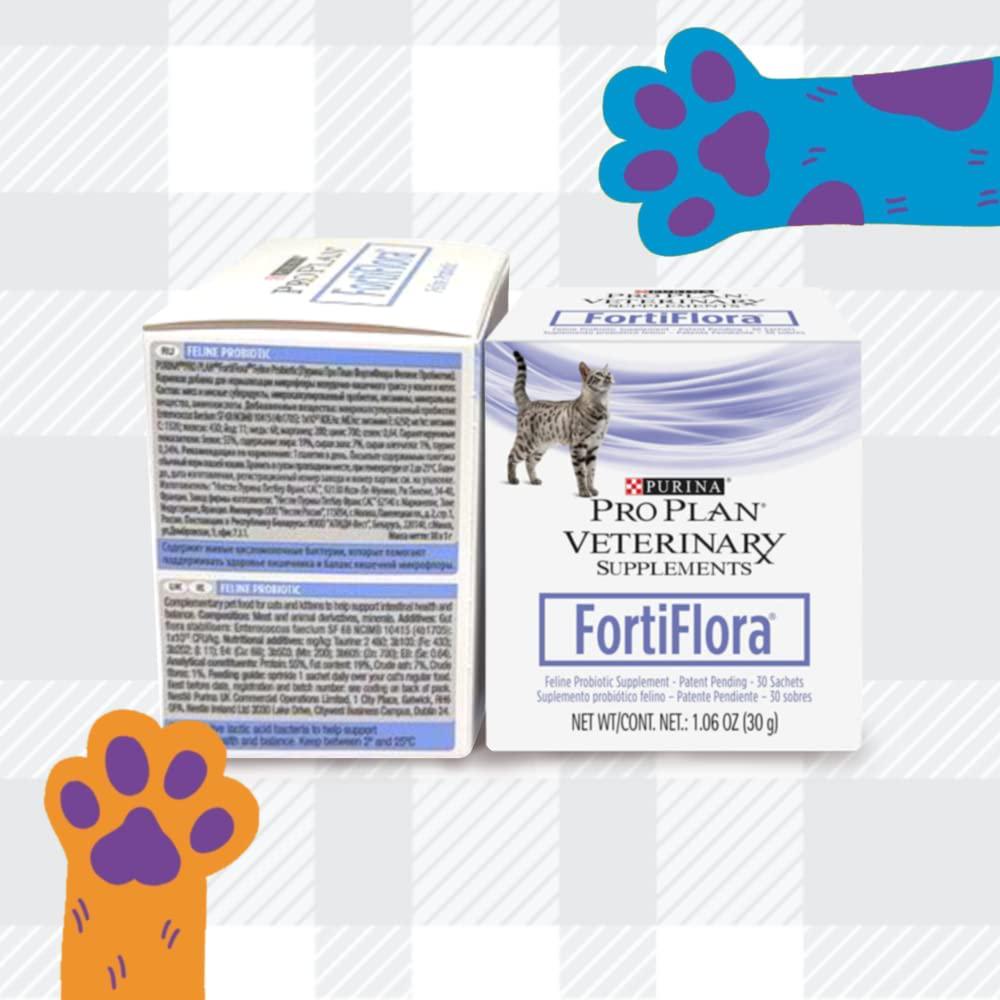 FortiFlora Powder Supplement Bundle Pack Consist Of Two Boxes In 30 Sachets Each Purina And AETN Creations Fridge Magnet Probiotic The Dietary Management Cat With Diarrhoea