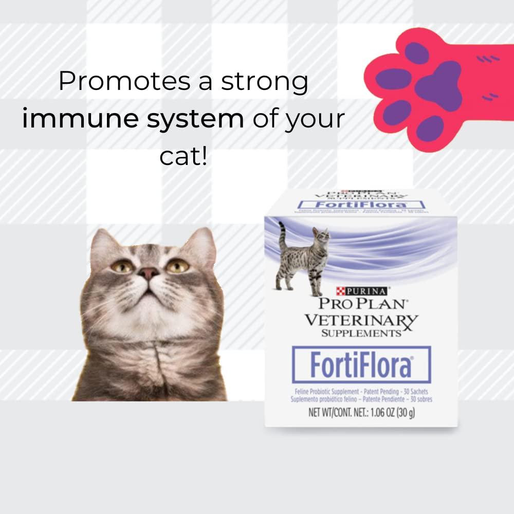 FortiFlora Powder Supplement Bundle Pack Consist Of Two Boxes In 30 Sachets Each Purina And AETN Creations Fridge Magnet Probiotic The Dietary Management Cat With Diarrhoea