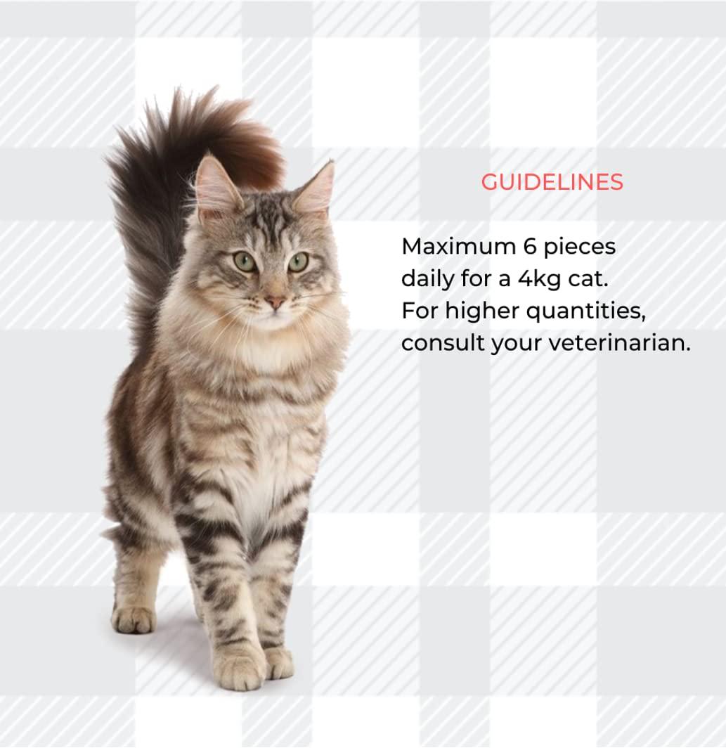 Pill Assist For Cats Bundle Pack Of 2x45g Per An Exclusive Treat Makes Giving Medicine To Easy With Moderate Calorie Content Plus AETN Creations Fridge Magnet