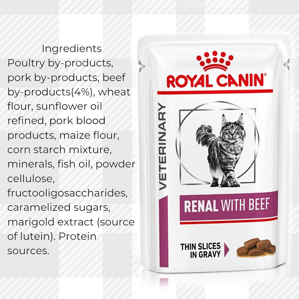 Renal Cat Food Bundle Of 400g Dry Biscuits With Wet Pouches In Beef, Salmon, Chicken Flavour Combined Felix Treat And Toy Plus AETN Creations Fridge Magnet Mixed Pack Support Urinary Health