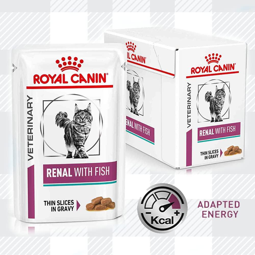 Renal Cat Food Bundle Of 400g Dry Biscuits With Wet Pouches In Beef, Salmon, Chicken Flavour Combined Felix Treat And Toy Plus AETN Creations Fridge Magnet Mixed Pack Support Urinary Health