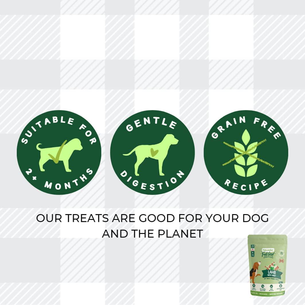 Training Treats For Dogs Pack Of 2x100g Feel Good Lamb And Mint Flavour Soft Baked Biscuits In Natural Ingredients Plus AETN Creations Fridge Magnet Grain-Free Snacks Over 2 Months